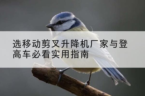 克山电动升降机厂家-选移动剪叉升降机厂家与登高车必看实用指南