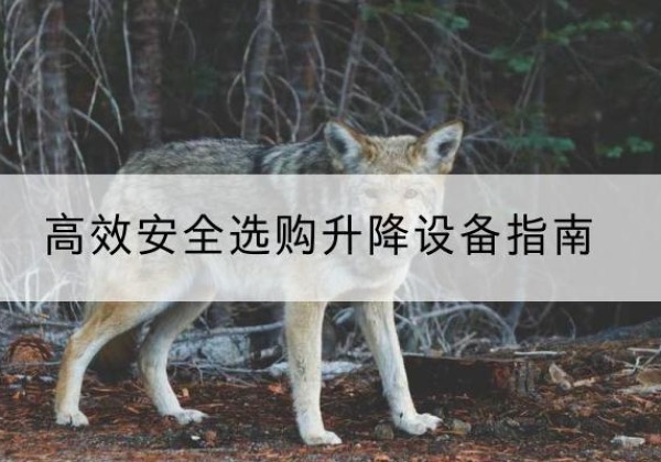 克山升降货梯厂家推荐-*安全选购升降设备指南